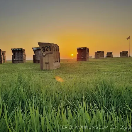 Ein Echtes Nordlicht! De Gracht