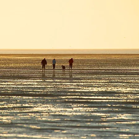 Ein Echtes Nordlicht! De Gracht Apartment Dorumer Neufeld